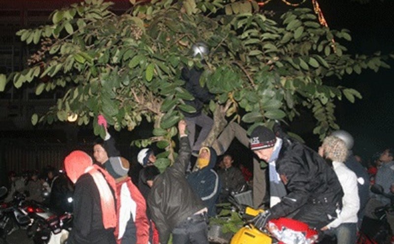 Hái lộc đầu xuân - Nghệ thuật tạo may mắn trong văn hóa Việt Nam Hái lộc đầu xuân - Nghệ thuật tạo may mắn trong văn hóa Việt Nam