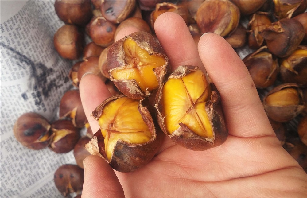 Hạt dẻ Lạng Sơn, thứ quà tết ngậy bùi