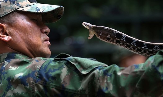 Một huấn luyện viên quân sự người Thái hướng dẫn cách bắn rắn. Ảnh: Reuters. 