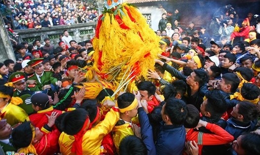 Cướp lộc hoa tre tại lễ hội đền Gióng (Sóc Sơn, Hà Nội) năm 2016. Ảnh: ZING
