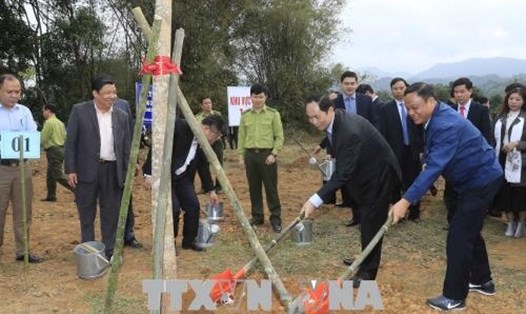 Chủ tịch Nước Trần Đại Quang dự Lễ phát động "Tết trồng cây đời đời nhớ ơn Bác Hồ" tại xã Quân Bình. Ảnh: TTXVN
