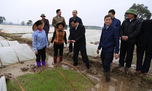 Bộ trưởng Nguyễn Xuân Cường lội xuống ruộng cùng bà con nông dân kiểm tra từng gốc mạ chuẩn bị cho gieo cấy vụ đông xuân 2018. Ảnh: Kh.L