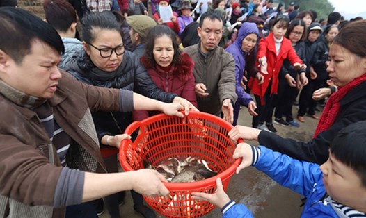 10.000 người chuyền tay phóng sinh hơn 5 tấn cá ở Hà Nội.