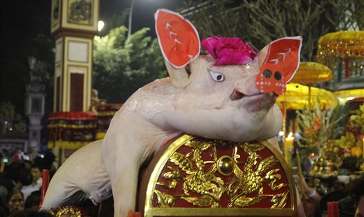 "Ông lợn" của dân làng La Phù 