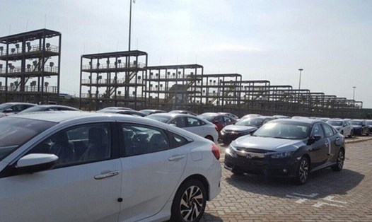 Hàng nghìn xe nhập cập cảng trong tuần đầu tháng 3. Ảnh: PV