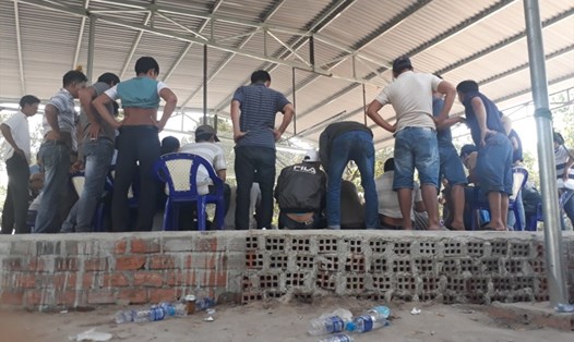 Trường gà hoạt động phi pháp tại huyện Krông Pa (Gia Lai) đã bị xóa sổ. Ảnh Khánh Băng