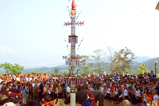 Cây Nêu người Cor.