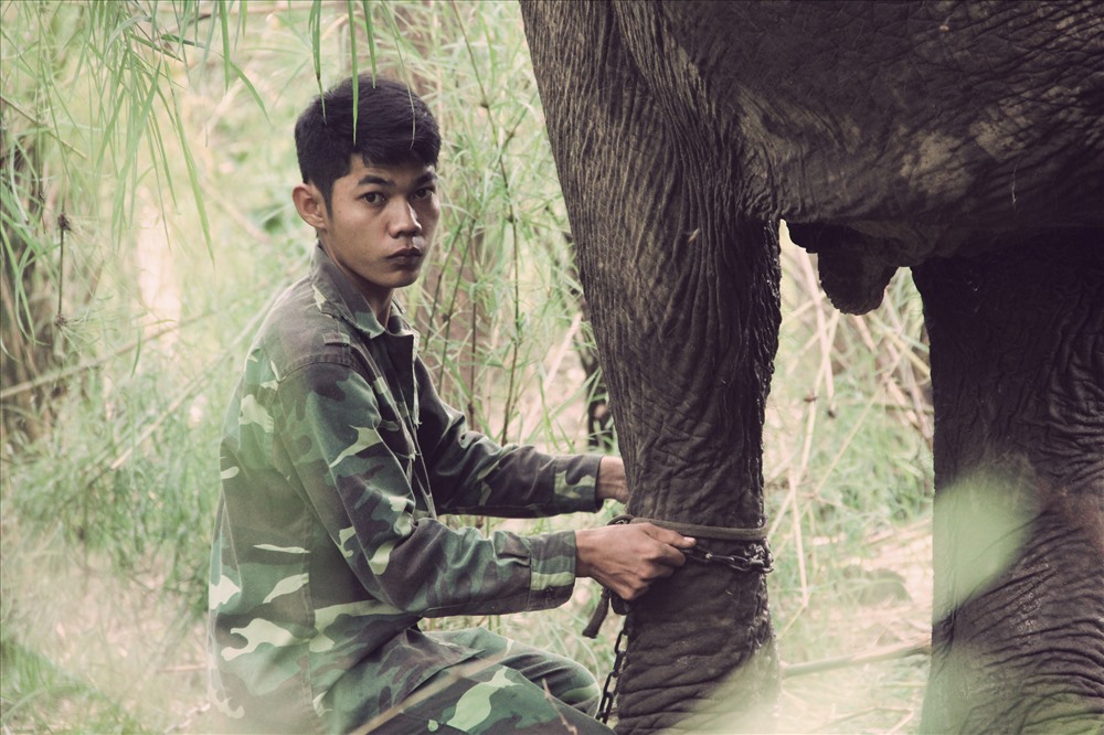 Những nài voi người Ê Đê lại hằng ngày vẫn chăm sóc, thuần dưỡng voi tại Buôn Đôn. Ảnh: H.L