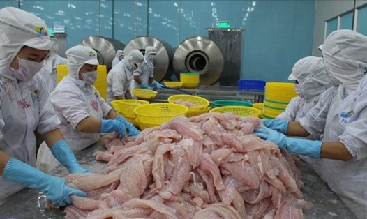 Mỹ tăng thuế chống bán phá giá cá tra Việt Nam. Ảnh: The Leader