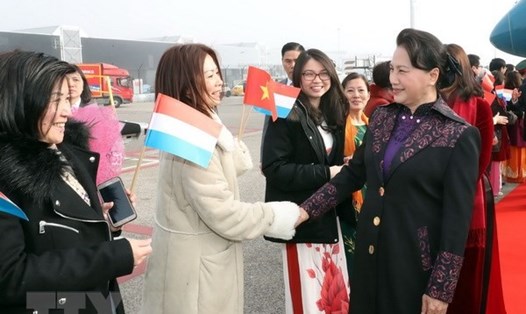 Đại diện cộng đồng người Việt tại Hà Lan đón Chủ tịch Quốc hội Nguyễn Thị Kim Ngân tại sân bay Amsterdam. Ảnh: TTXVN.