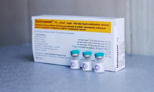 Vắc xin 5 trong 1 Quinvaxem