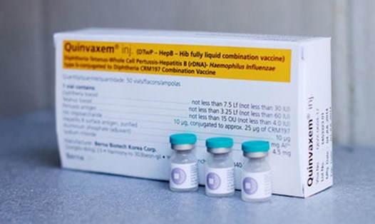 Vaccine Quinvaxem sắp bị ngưng sử dụng tại Việt Nam.Ảnh: P.V