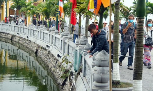Một nhóm người ngang nhiên bắt cá vừa được phóng sinh trước cửa Phật.