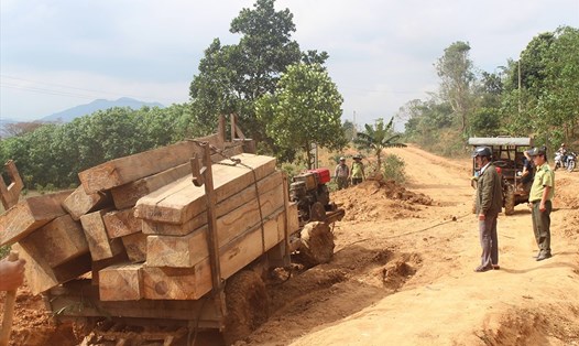 Lâm tặc bỏ lại xe gỗ tháo chạy tại huyện M’Đrắk.Ảnh: H.L