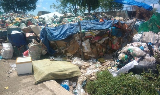 Rác thải sinh hoạt tại Bạc Liêu chất đống trong khi Nhà máy rác "xí phần" rồi để đó (ảnh Nhật Hồ)