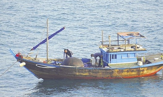 Tàu cá không số hiệu đánh bắt cá bằng thuốc nổ tại Sơn Trà. Ảnh: LPC