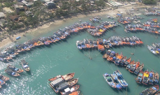 Một phần biển đảo tiền tiêu Lý Sơn cũng sẽ được giao cho FLC làm du lịch khi chưa có tham vấn cộng đồng