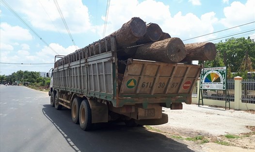 Xe gỗ hiện đang bị tạm giữ tại  Hạt kiểm lâm huyện Cư Jút (Đắk Nông).