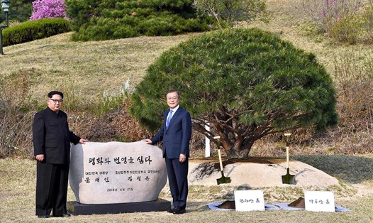 Nhà lãnh đạo Kim Jong-un và Tổng thống Moon Jae-in trồng cây lưu niệm. Ảnh: AP