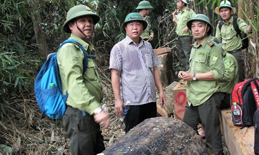 Phó Chủ tịch UBND tỉnh Quảng Nam thị sát rừng Đông Giang bị tàn phá. Ảnh: LP