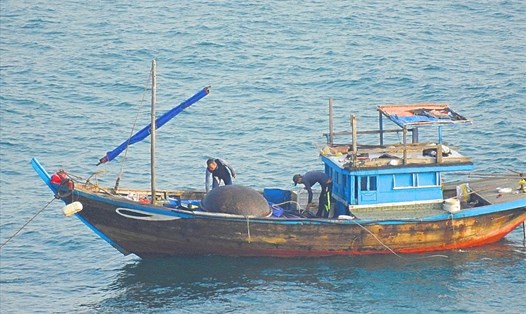 Tàu cá dùng thuốc nổ đánh bắt ở biển Sơn Trà. Ảnh: LPC