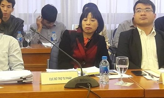 Bà Nguyễn Thị Mai tại buổi họp báo.
