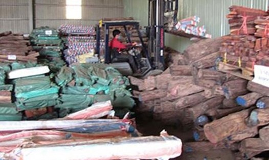 Hơn 500m3 gỗ trắc tang vật đã bị đem bán tháo khi vụ án chưa được xét xử với giá rẻ mạt (63,9 tỉ đồng). Ảnh: T.L