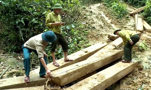 Lực lượng chức năng kiểm đếm số gỗ bị khai thác trái phép tại Quảng Bình.