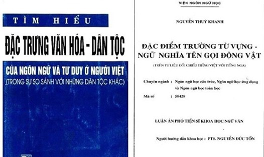 Nội dung sách của Giáo sư Nguyễn Đức Tồn có nhiều trang giống như luận án của nghiên cứu sinh do chính ông hướng dẫn