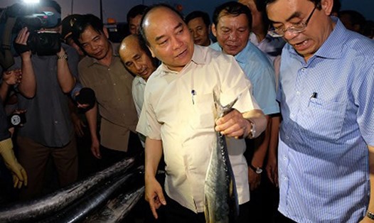 Thủ tướng Nguyễn Xuân Phúc mua cá của ngư dân Quảng Trị. Ảnh: VGP