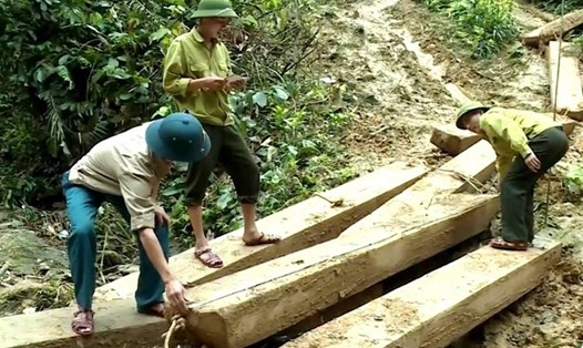 Lực lượng chức năng kiểm đếm số gỗ bị khai thác trái phép tại xã Thanh Hoá (H.Tuyên Hoá, Quảng Bình)