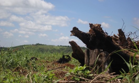 Việc giao khoán, bảo vệ rừng tại Đắk Nông thời gian qua còn nhiều bất cập.