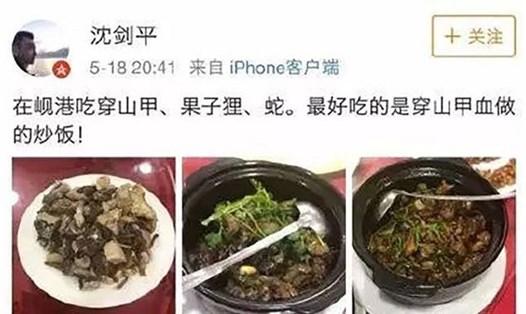 Những món nhậu làm từ thịt tê tê và cầy hương mà ông Shen ăn tại Đà Nẵng được ông đăng tải trên Weibo. Nguồn: SCMP