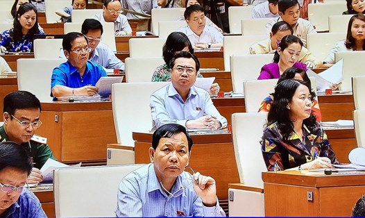 Sáng 23.5, các ĐB thảo luận về một số nội dung còn ý kiến khác nhau của dự án Luật Đơn vị hành chính - kinh tế đặc biệt Vân Đồn, Bắc Vân Phong, Phú Quốc.