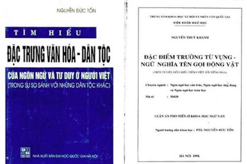 Cuốn sách của giáo sư Nguyễn Đức Tồn được cho là có phần “chép lại” của học trò.