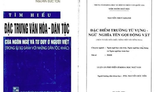 Cuốn sách của giáo sư Nguyễn Đức Tồn được cho là có phần “chép lại” của học trò.