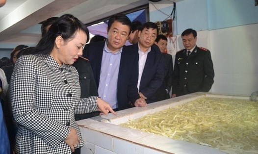 Bộ trưởng Bộ Y tế kiểm tra tình hình an toàn thực phẩm tại Hà Nội tháng 1.2018 (Ảnh: SYT HN)