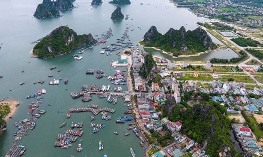 Cảng Cái Rồng, đảo Vân Đồn, tỉnh Quảng Ninh - một trong 3 đặc khu dự kiến. Ảnh: Zing.vn