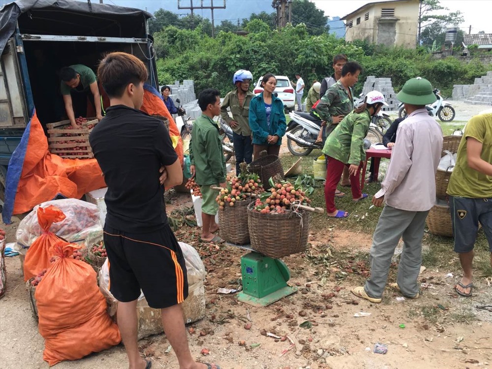 Hệ thống siêu thị Qmart thu mua và bán vải sạch tới người tiêu dùng