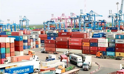 Cảng Cát Lái đang tồn đọng nhiều container phế liệu Ảnh: Hải Quan.