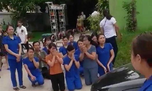 Hình ảnh giáo viên mầm non ở Nghệ An quỳ lạy đoàn công tác để xin được dạy trẻ. Ảnh cắt từ clip