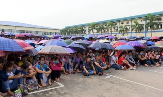Hàng nghìn CNLĐ Chi nhánh Cty Sao Vàng Uông Bí tổ chức ngừng việc tập thể, yêu cầu đơn vị cải thiện điều kiện làm việc. Ảnh: PV