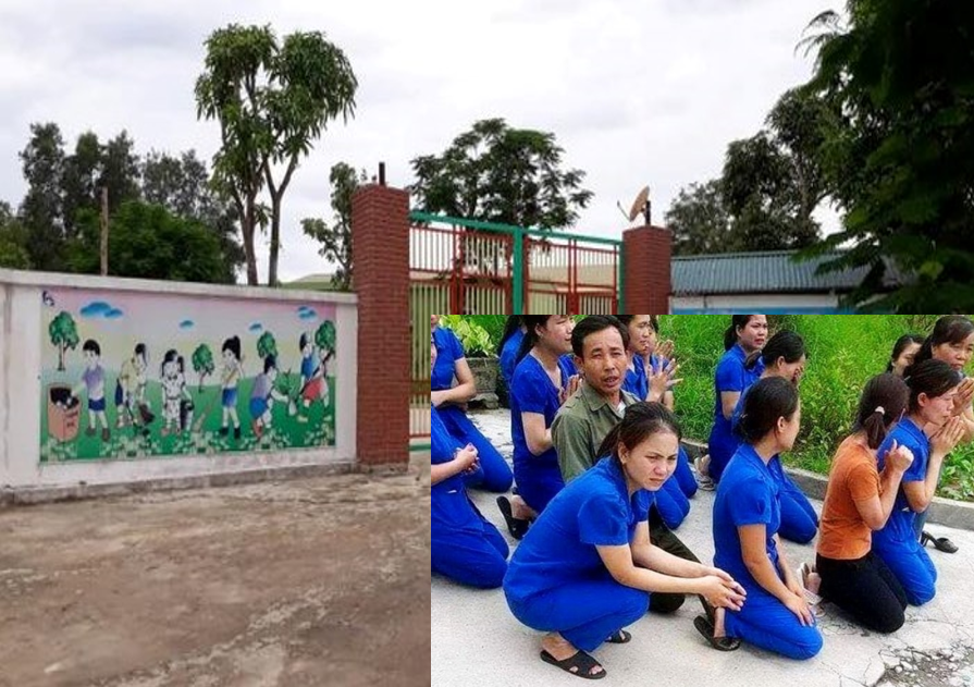 Hình ảnh nhiều GV quỳ gối, khóc xin dạy gây chấn động dư luận