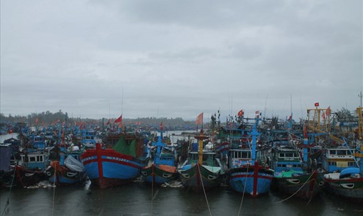 Còn 1.160 tàu cá ngư dân Quảng Ngãi chưa vào bờ trú bão. Ảnh: T.H