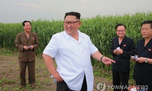Ông Kim Jong-un trong chuyến thị sát gần biên giới với Trung Quốc. Hình ảnh do truyền thông Triều Tiên công bố ngày 30.6. Ảnh: Yonhap. 