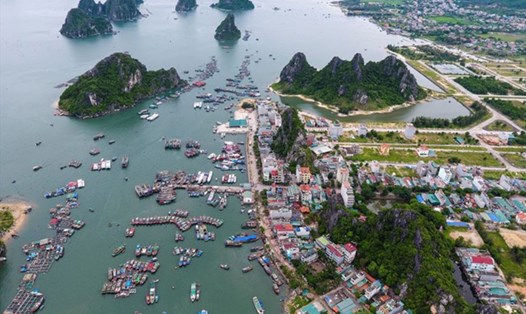Cảng Cái Rồng, đảo Vân Đồn, tỉnh Quảng Ninh - một trong 3 đặc khu dự kiến của Việt Nam. Ảnh: A.C