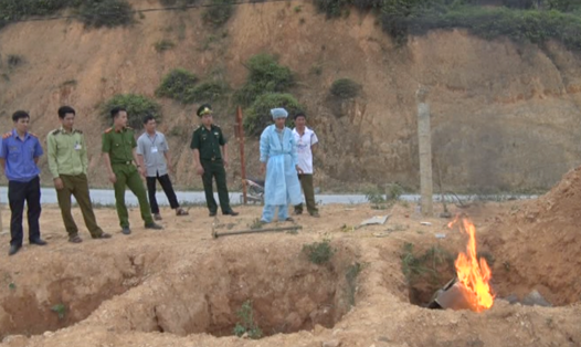 Lực lượng chức năng đang tiêu hủy lợn nhập lậu từ Trung Quốc vào Việt Nam. Ảnh: Thu Hằng

