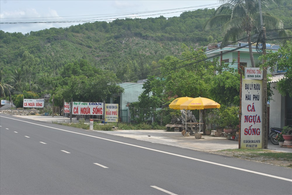 Những bảng hiệu quảng cáo cá ngựa dọc quốc lộ 1A ở xã Xuân Cảnh. Ảnh: Đ.Phùng