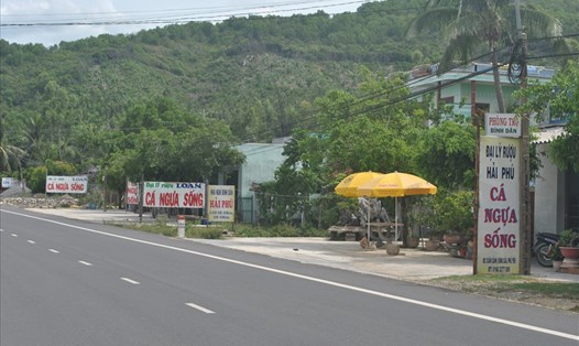 Những bảng hiệu quảng cáo cá ngựa dọc quốc lộ 1A ở xã Xuân Cảnh. Ảnh: Đ.Phùng