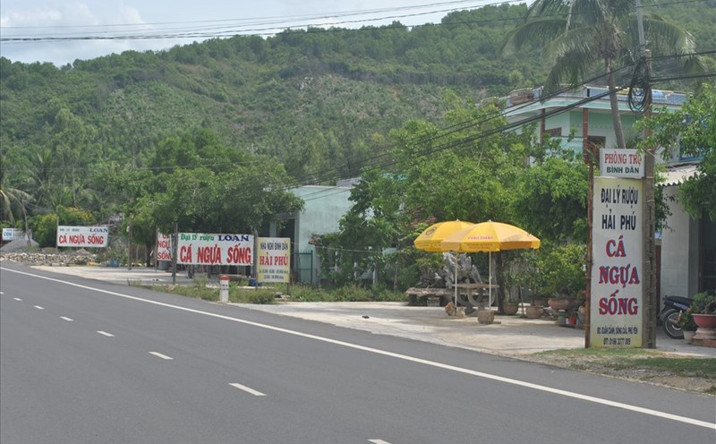 Những bảng hiệu quảng cáo cá ngựa dọc quốc lộ 1A ở xã Xuân Cảnh. Ảnh: Đ.Phùng